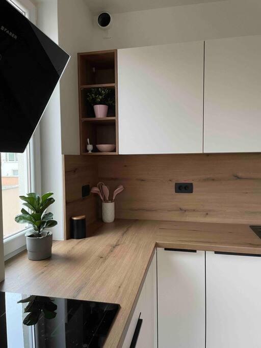 Mely Rose Apartment Ljubljana Ngoại thất bức ảnh