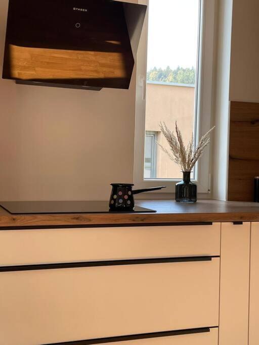Mely Rose Apartment Ljubljana Ngoại thất bức ảnh